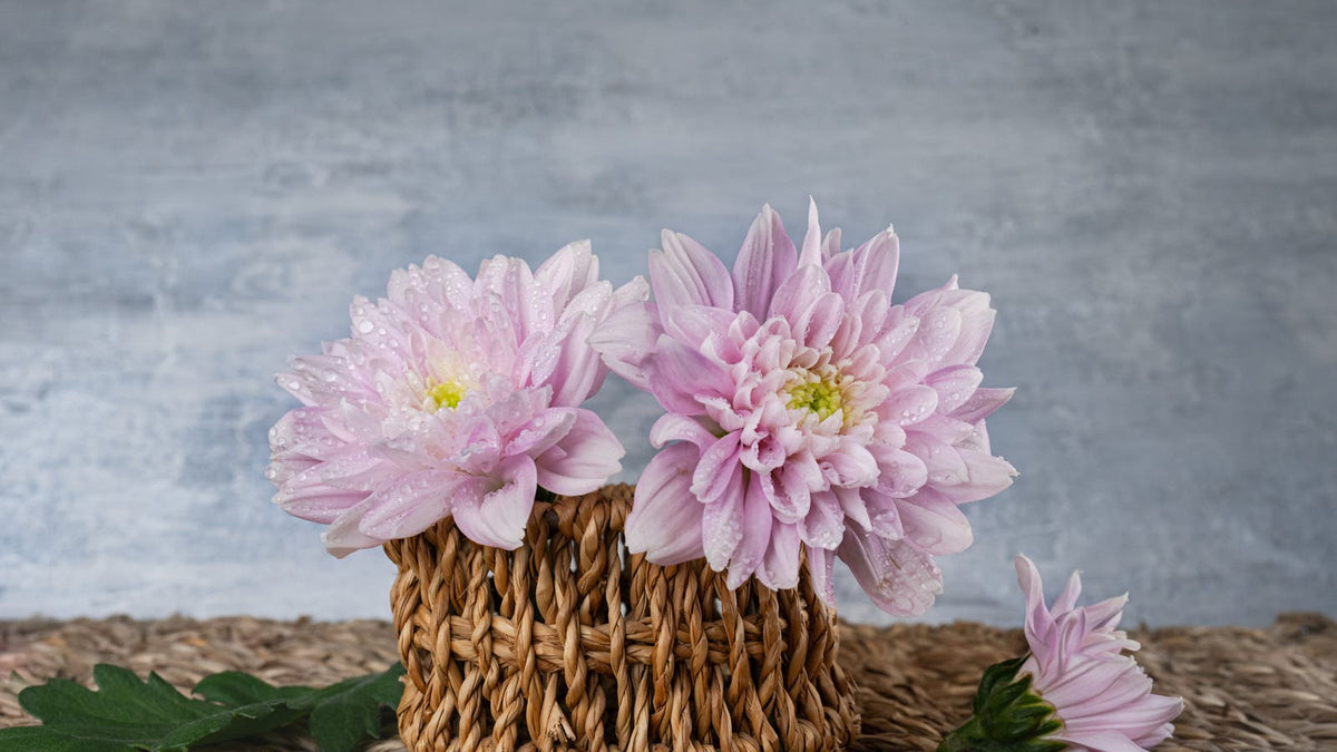 comment-faire-un-decor-champetre Bild