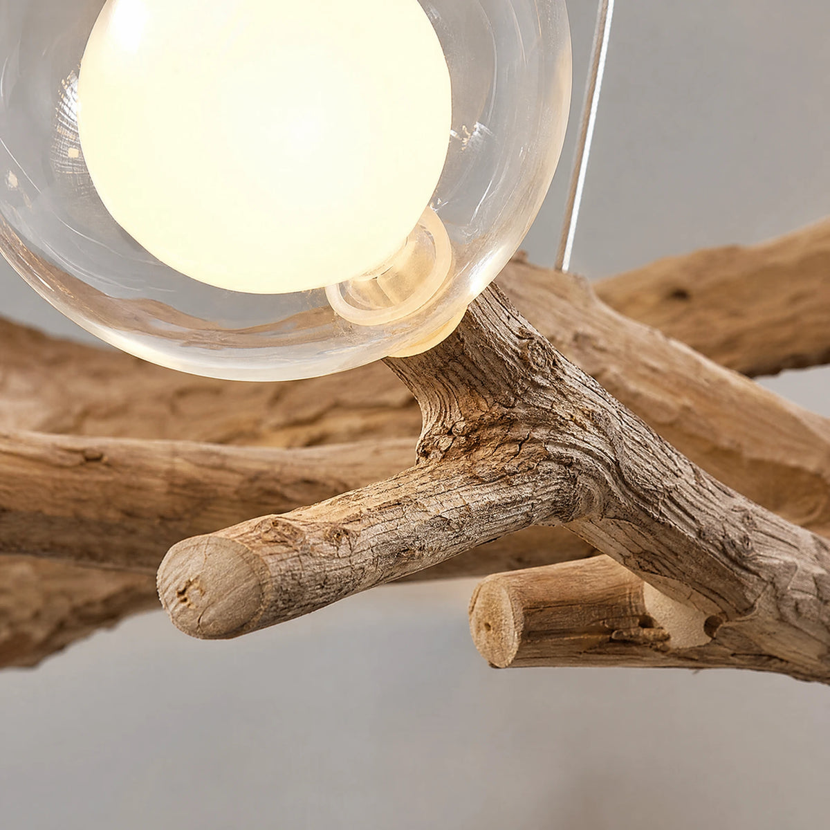 Lustre Branche Bois avec Globes Lumineux Style Naturel - close-up détail matière