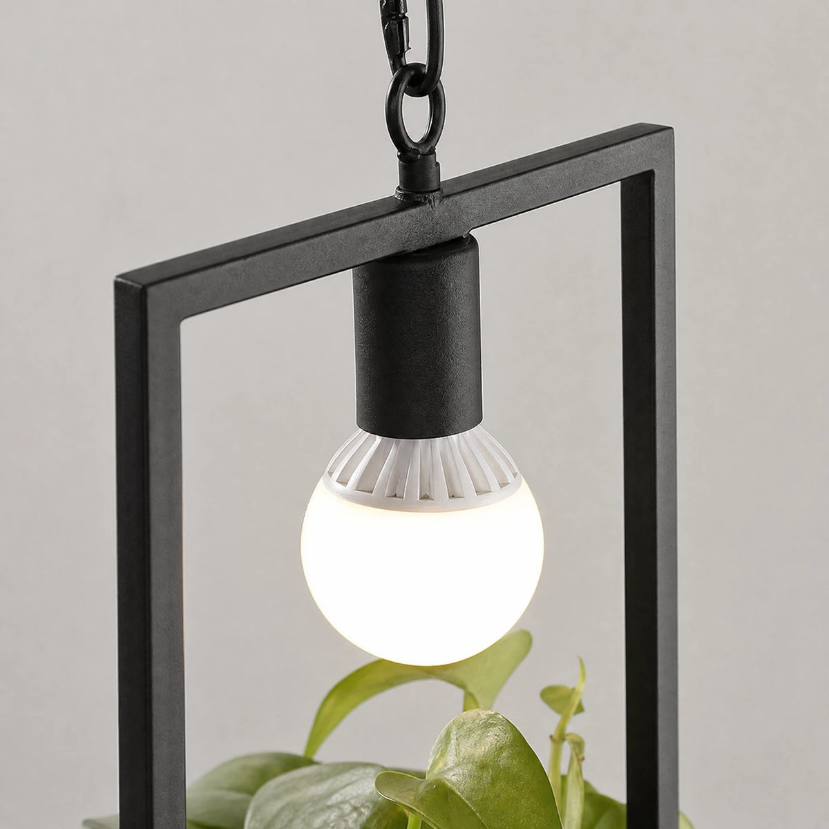 Suspension Luminaire Végétale avec Support Plante Vintage - close-up détail matière