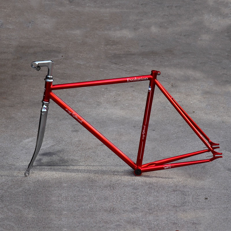    cadre-velo-de-course-vintage